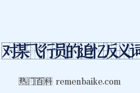 对某飞行员的追忆反义词是什么意思的图片